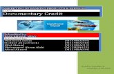 Letter of Credit Project