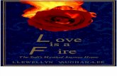 Love is a Fire- The Sufi's Mystical Journey Home