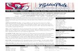 053113 Reading Fightins Game Notes
