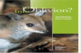 Endangered Mammals of Northern Australia