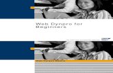 Web Dynpro for Beginners