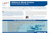 Allianz RP Risk Barometer Jan2013