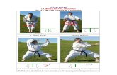 14 Karate Shotokan Heian Nidan