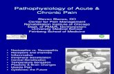 1 Pathophysiology Acute Chronic Pain