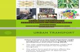 Land Use Transport Perspectives in Indian Cities