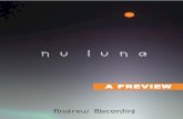 NU LUNA by Andrew Biscontini [book preview]