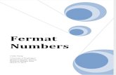 C. TSANG Fermat Numbers(2010)
