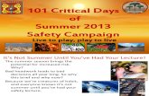2013 101 Critical Days of Summer