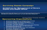 Surviving Sepsis Campaign Give 5.14.04