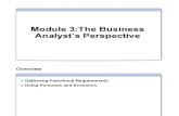 Module 3 the Business Analyst's Perspective