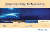 CMS Conserving Cetaceans Fi
