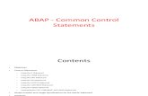 07_ABAP - Common Control Statements
