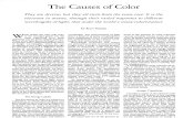 Causes of Color Scientificamerican1080-124