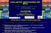 7. Holistic Methods for EFA - BUENO