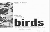 Birds Section 1 Contents Intro