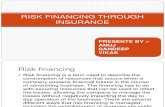 Risk Financing Through Insurance
