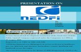 Presentation on activites of NEDFI