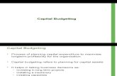 9. Capital Budgeting