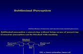 Subliminal Perception 2008
