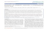 Evolution of Metabolic Networks - A Computational Framework
