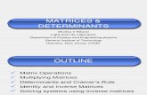 Matrices Determinants MS