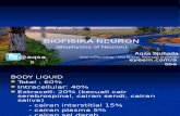 Biofisika Neuron 2013