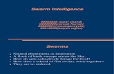 Group 12 SwarmIntelligence