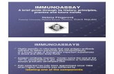 Immuno asaay