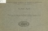 Cacao 1909