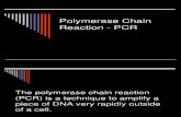 Polymerase Chain Reaction PPT