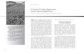 Cover Crop Species and Descriptions