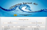 Vitamin Larut Air18062012(1)