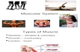 Ch 08 Muscular System