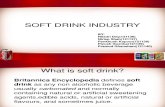 Soft Drink Industry Final
