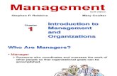 management: Chp. 1 - Intro