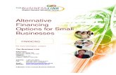 Alternative Financing Options for Small Businesses