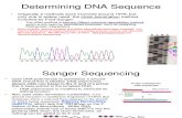Dna Sequencing(Sanger's Method)