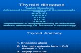 slide 3 surgery  thyroid