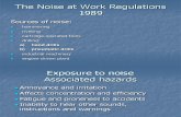 11 Noise at Work