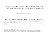 Consultancy Management [Recovered]