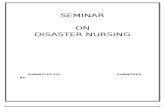 Final Seminar on Disaster.