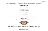 Mathematical Modeling of Synthetic Curves