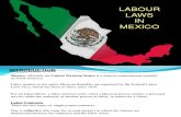 MEXICAN Labour Laws