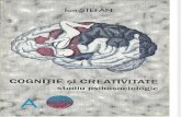Ion STEFAN, Cognitie Si Creativitate, 119p
