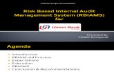 Risk Based Internal Audit Management System