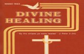 Divine Healing - Ronnie Trice