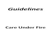 TC3 Guidelines