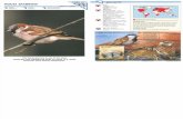 Wildlife Fact File - Birds - 41-50