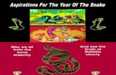 Aspirations For The Year Of The Snake