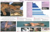 Wildlife Fact File - Animal Behavior - Pgs. 1-10